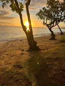 Fiji1