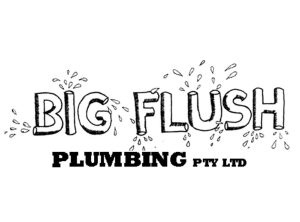 Big Flush Big Flush